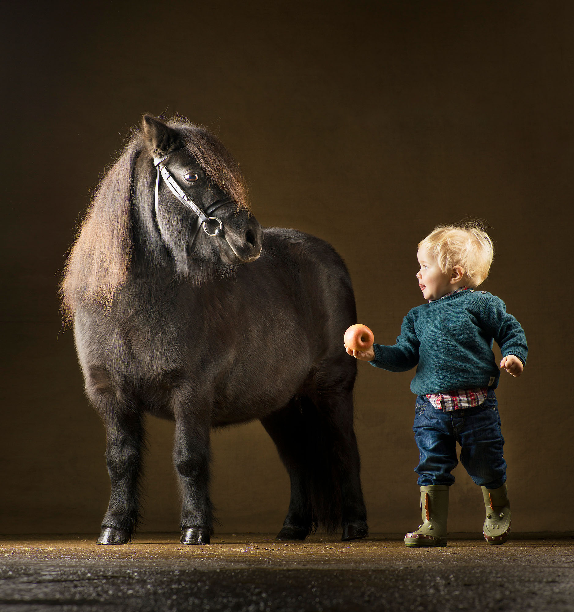 Shetland-Pony-and-Boy-Mark-Harvey-Photography
