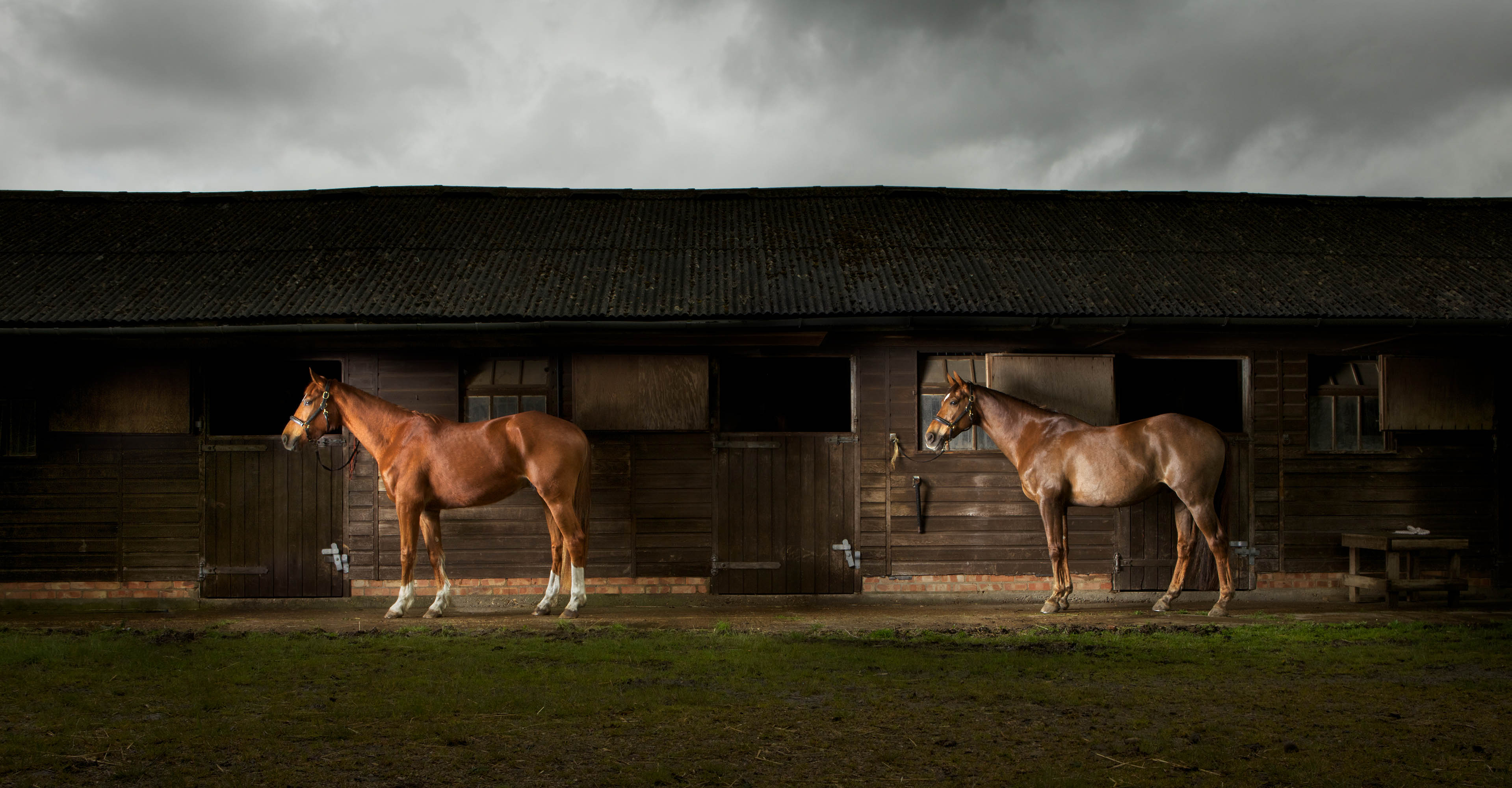 Stables